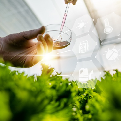 Labor, Forschung, Wissenschaft, Biotechnologie